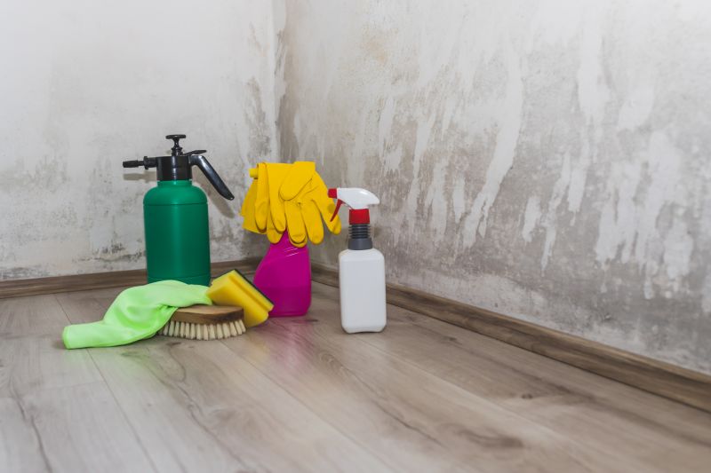 Effective Mold Removal